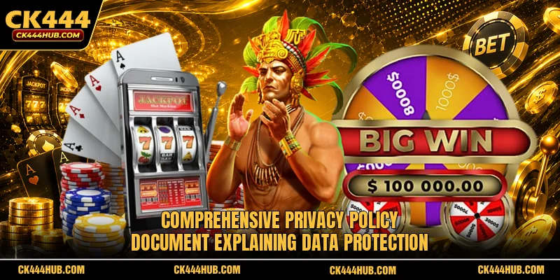 Comprehensive privacy policy document explaining data protection