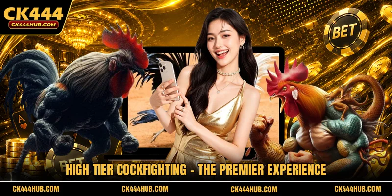 High Tier Cockfighting